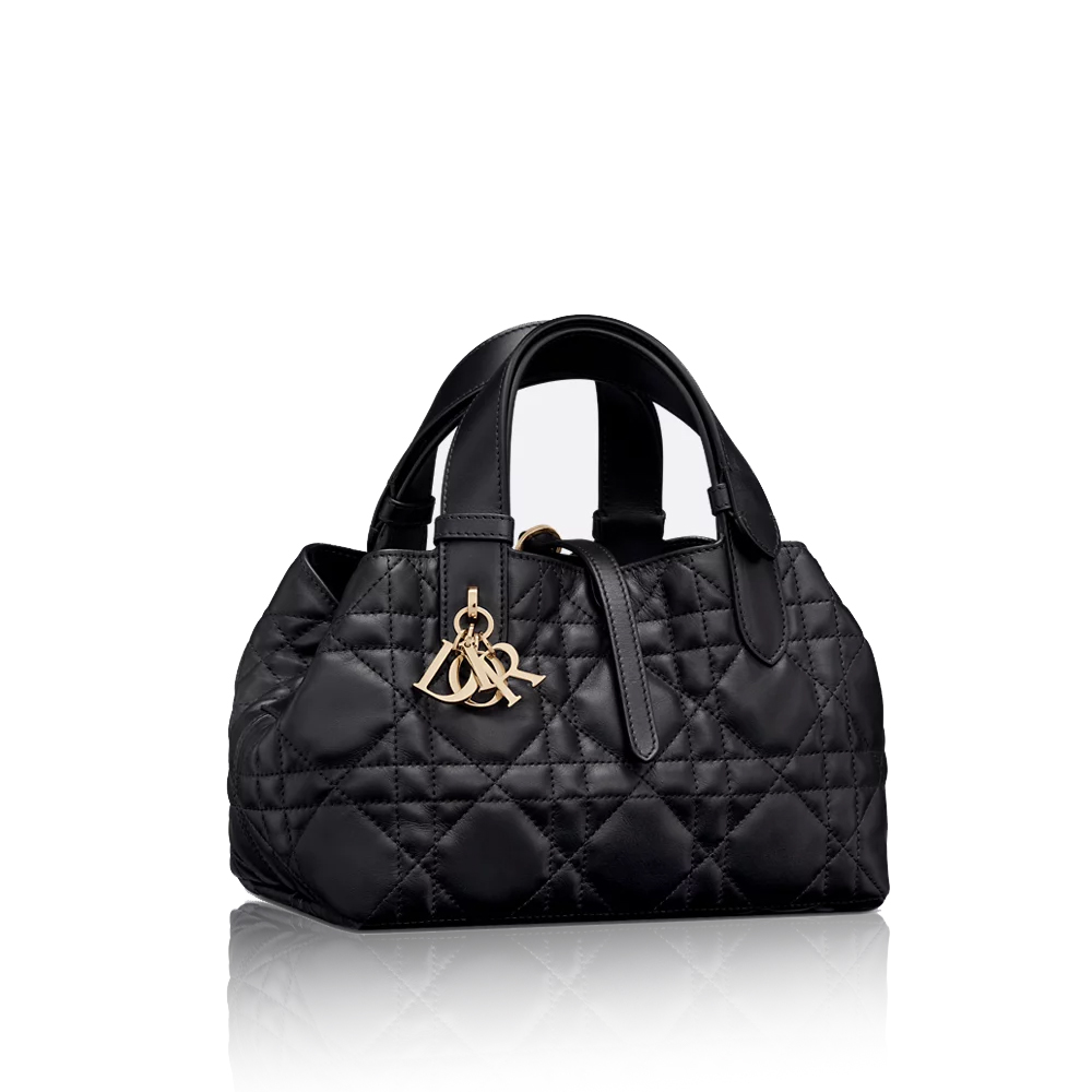 Dior Small Toujours Bag