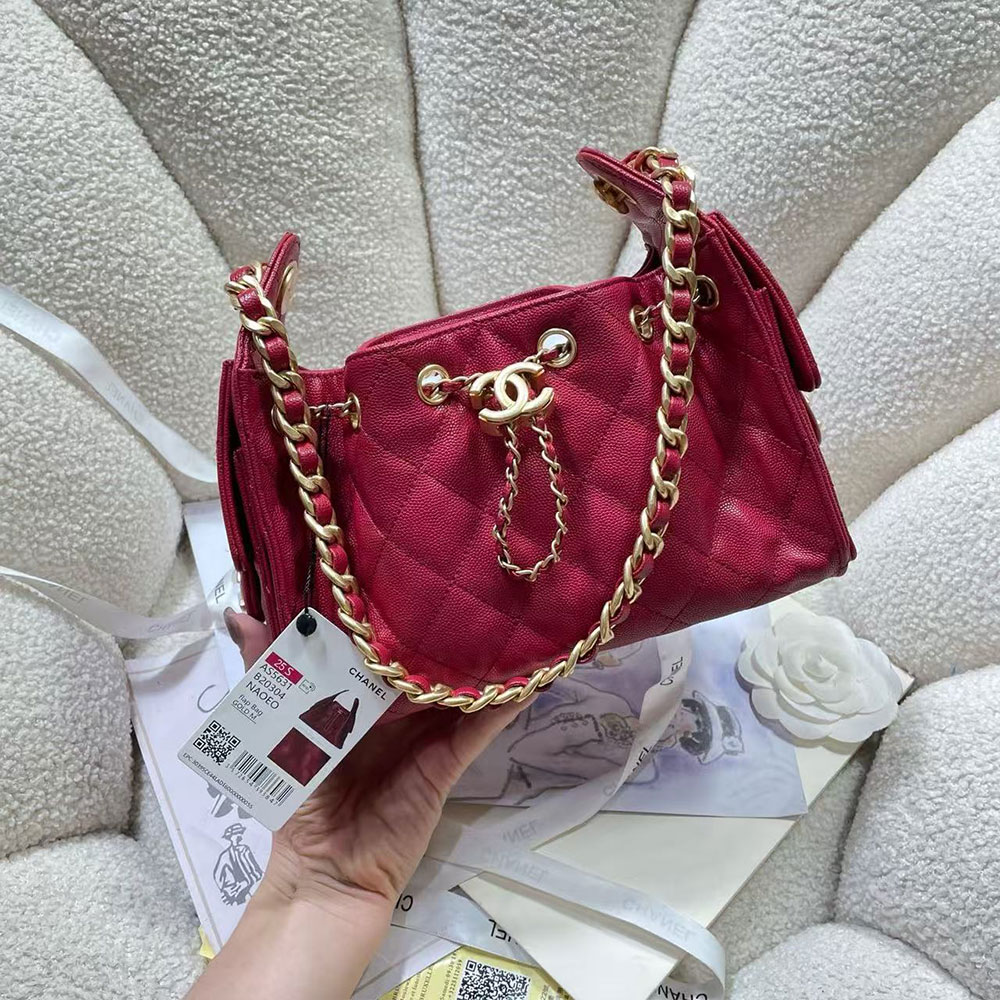 CHANEL 25 Small Handbag