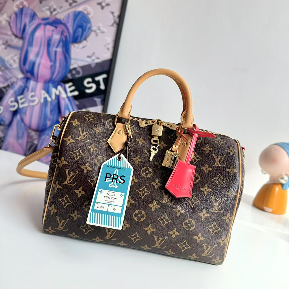 Louis Vuitton Speedy Soft 30 Crafty in Canvas with Gold-tone