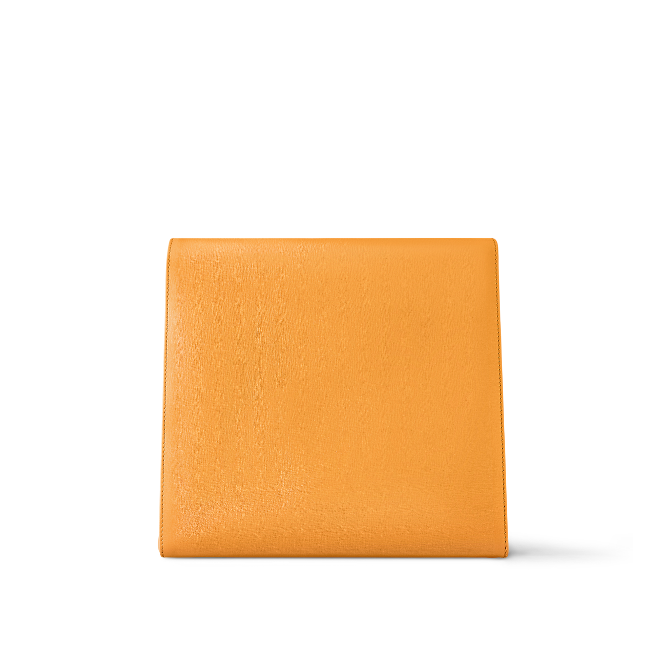 Louis Vuitton Sandwich Bag Safran