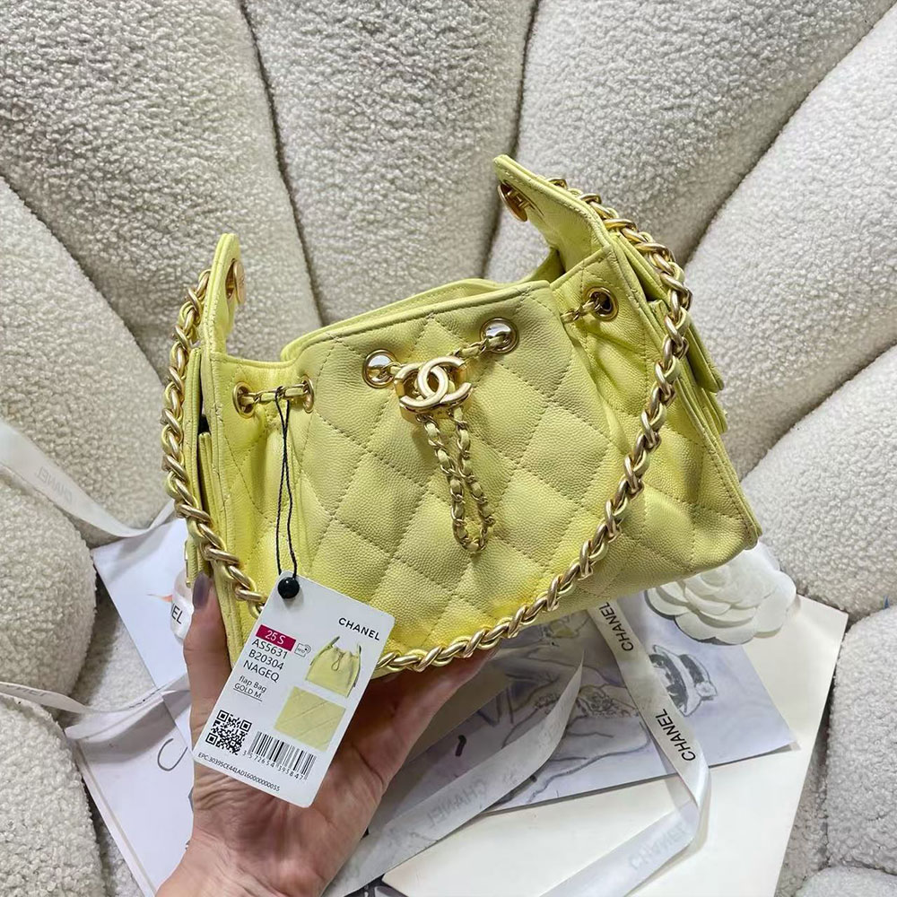 CHANEL 25 Small Handbag