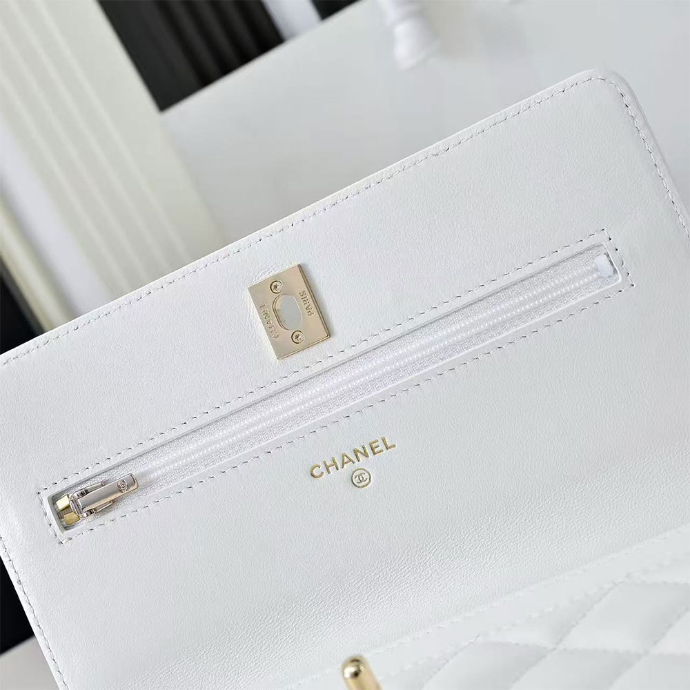 Chanel Clutch with Chain
