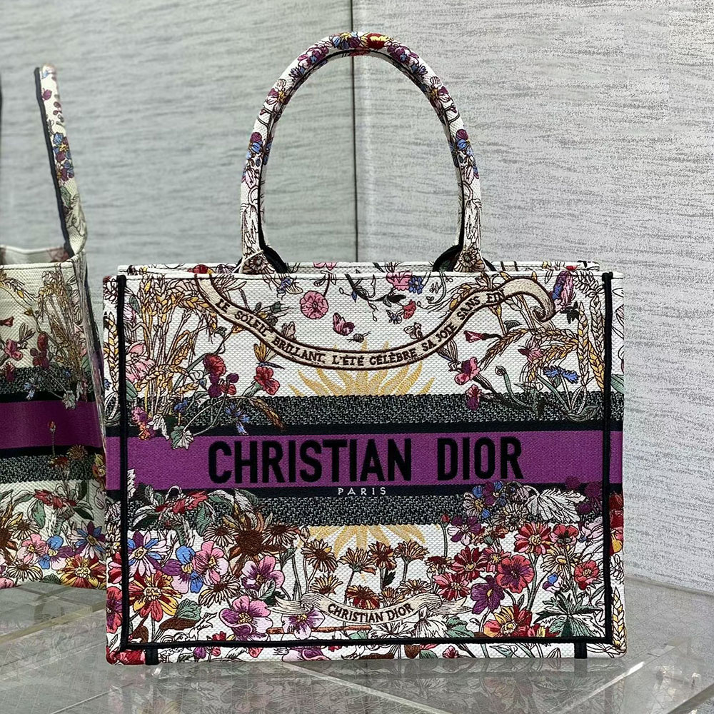 Dior Book Tote Bag