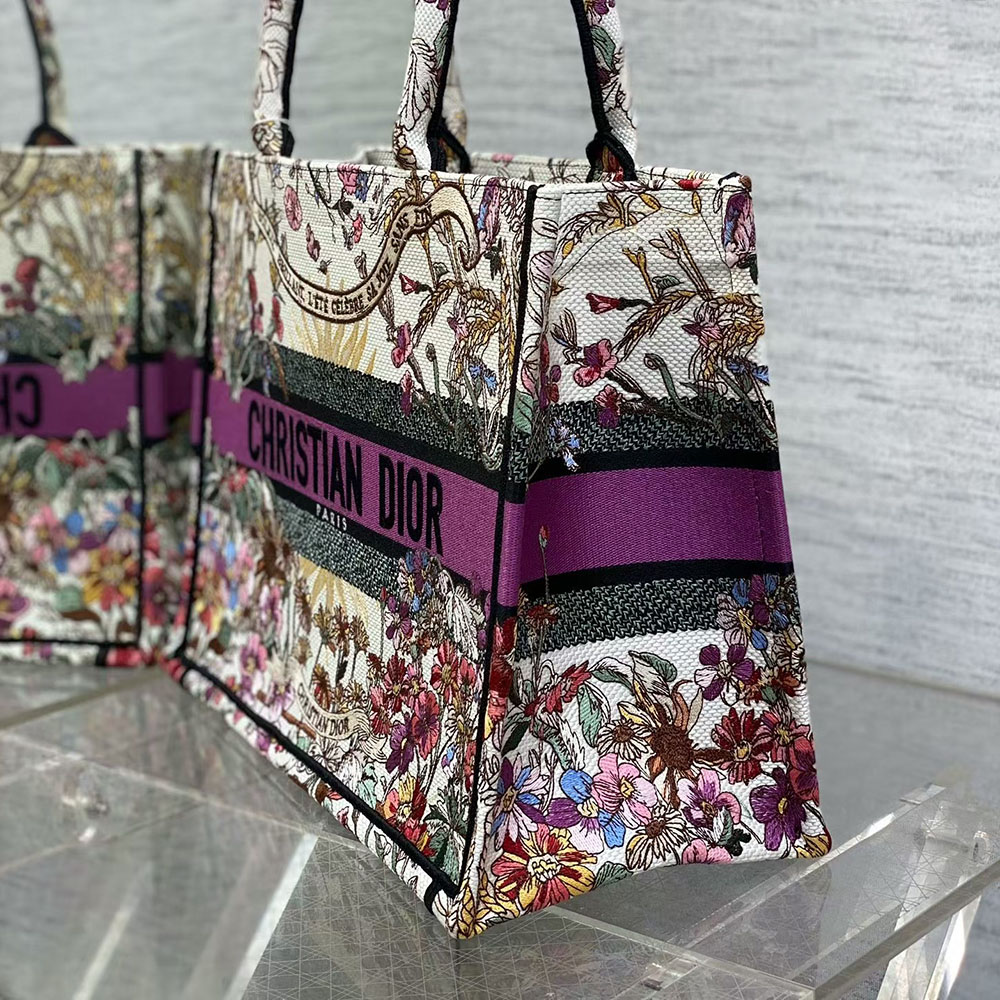 Dior Book Tote Bag