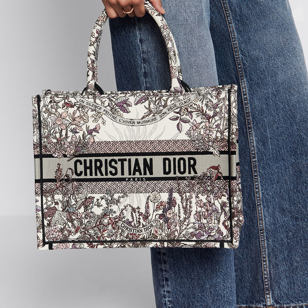 Dior Book Tote Bag