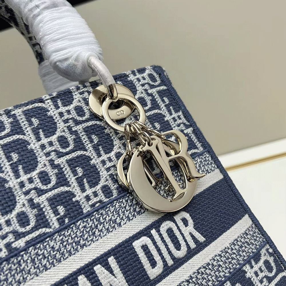 DIOR Lady D-Lite Bag