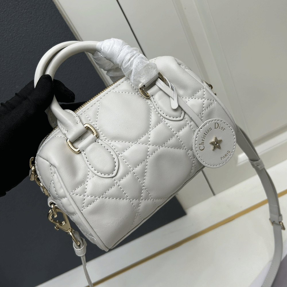 Dior Groove 20 Handbag