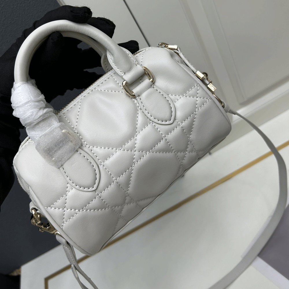 Dior Groove 20 Handbag