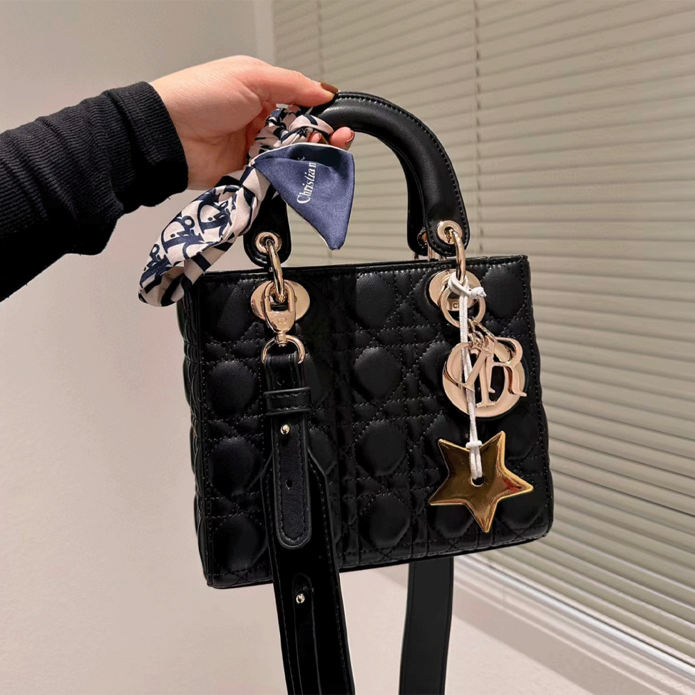 Dior Small Lady  Bag