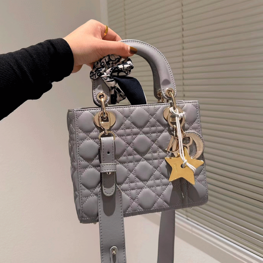 Dior Small Lady  Bag