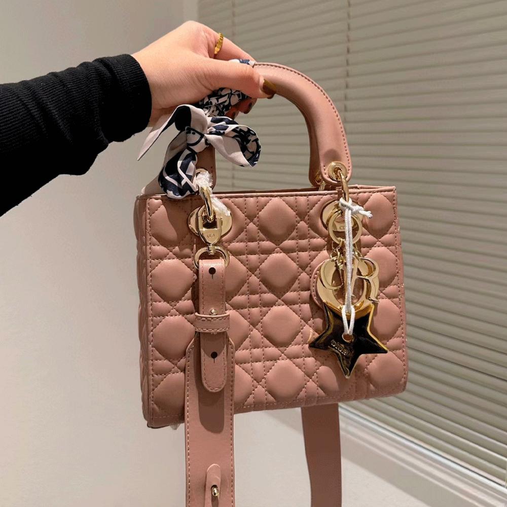 Dior Small Lady  Bag