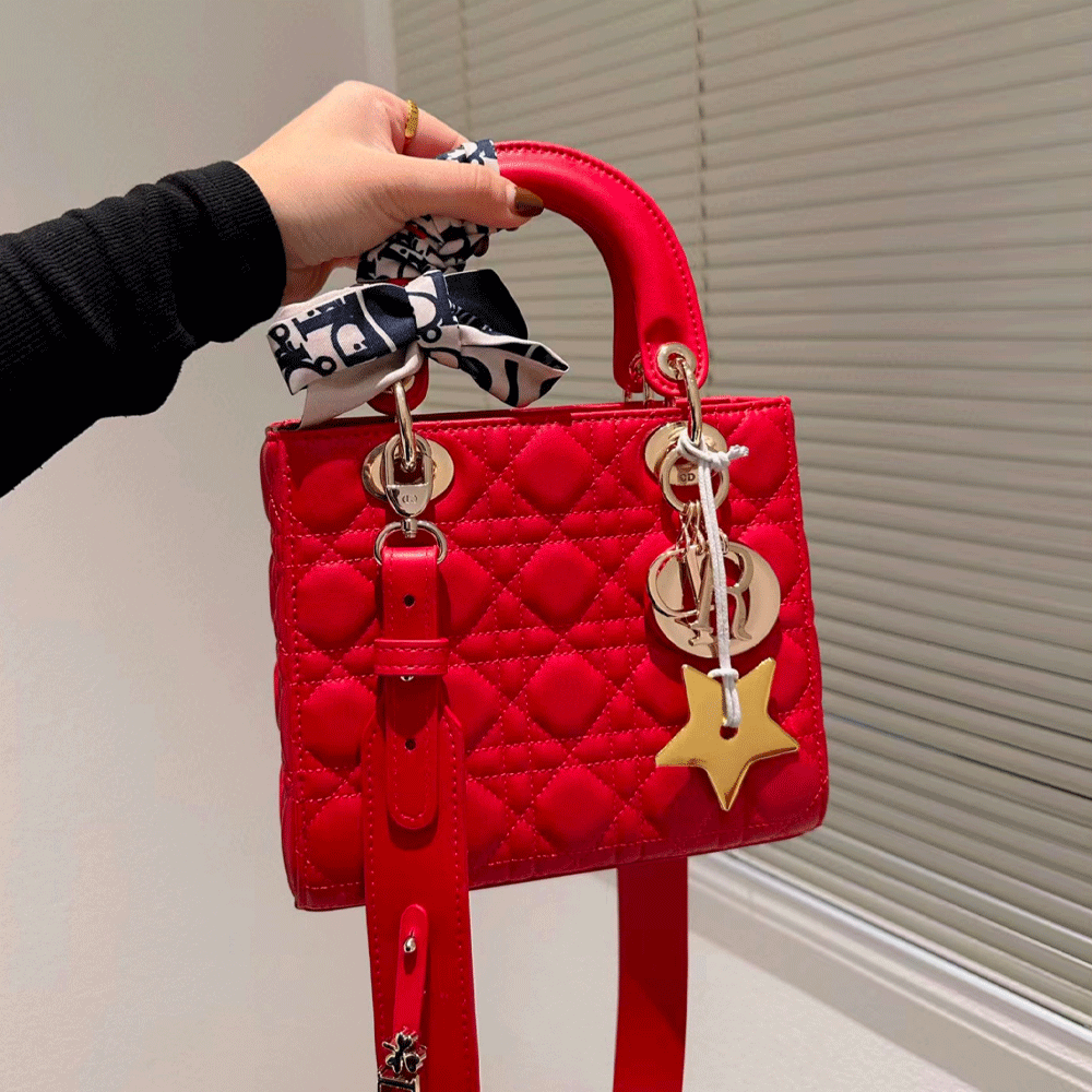 Dior Small Lady  Bag