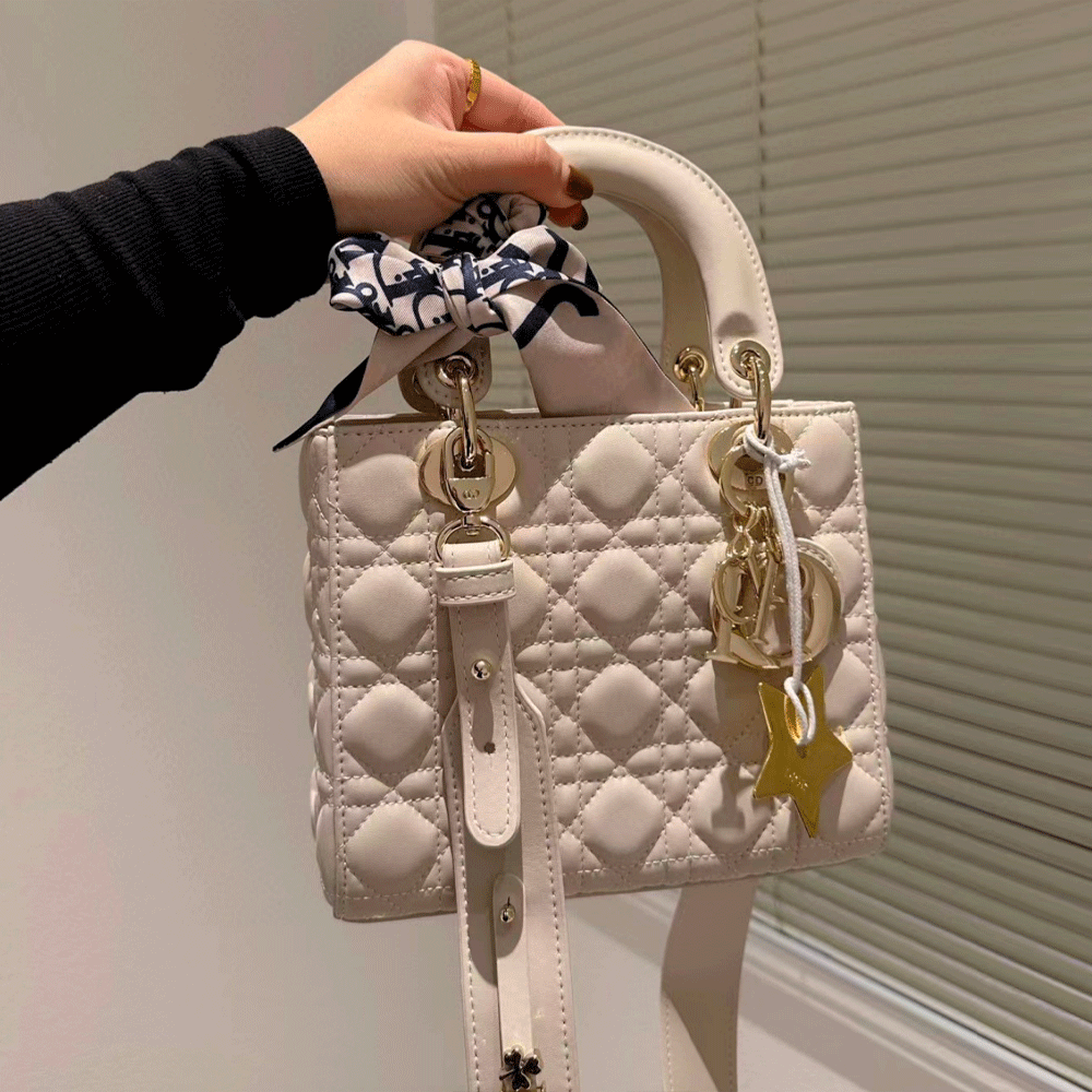 Dior Small Lady  Bag