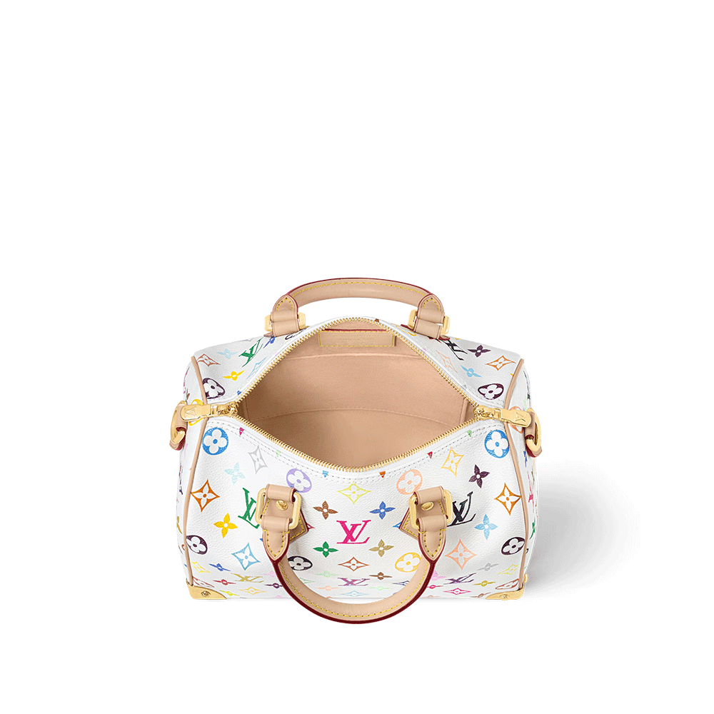 Louis Vuiton LV x TM Speedy Bandoulière 25