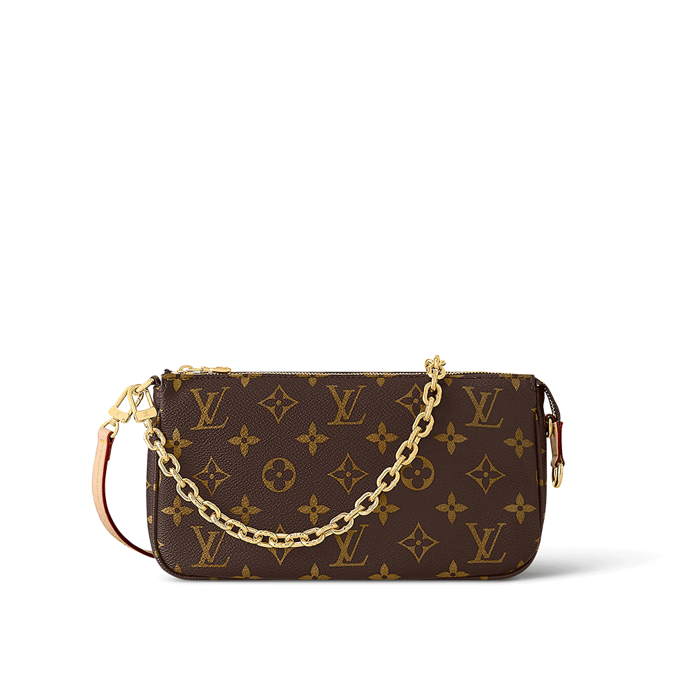 Louis Vuitton LV Easy Pouch Bag