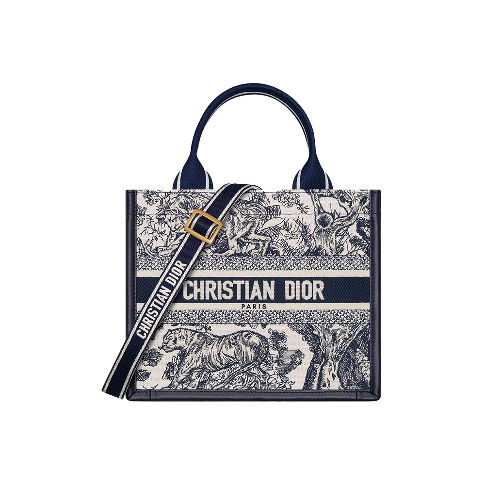 Dior Small Dior Book Tote