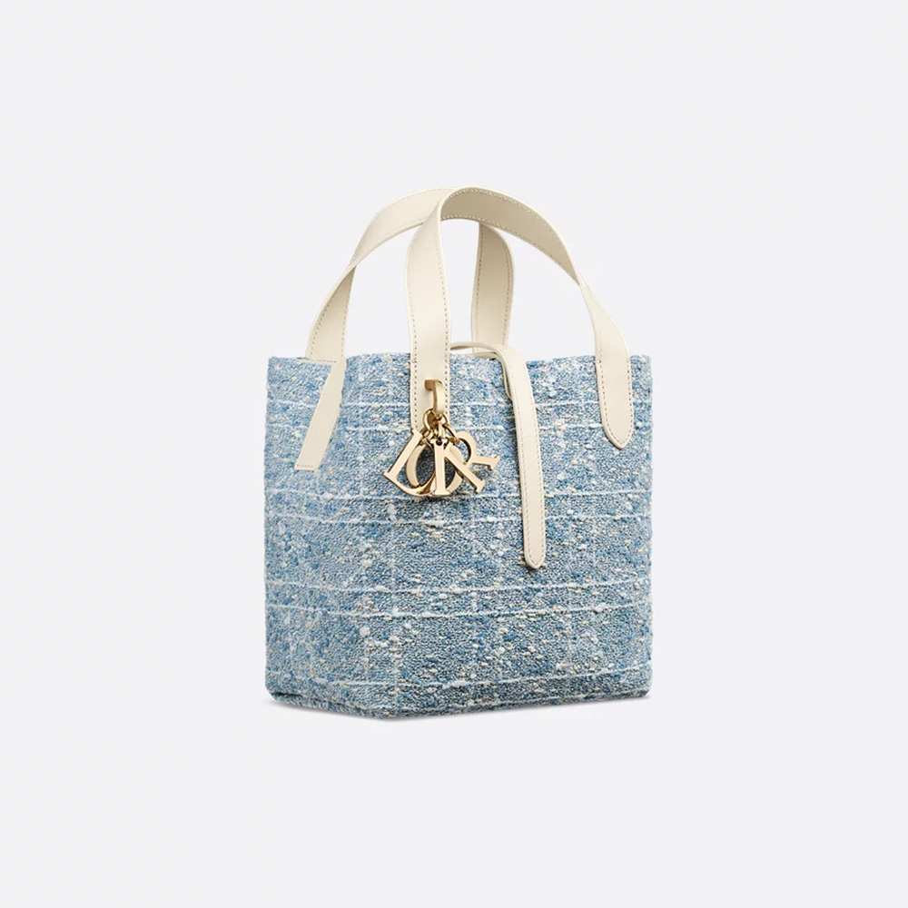 Dior Small Dior Toujours Vertical Tote Bag