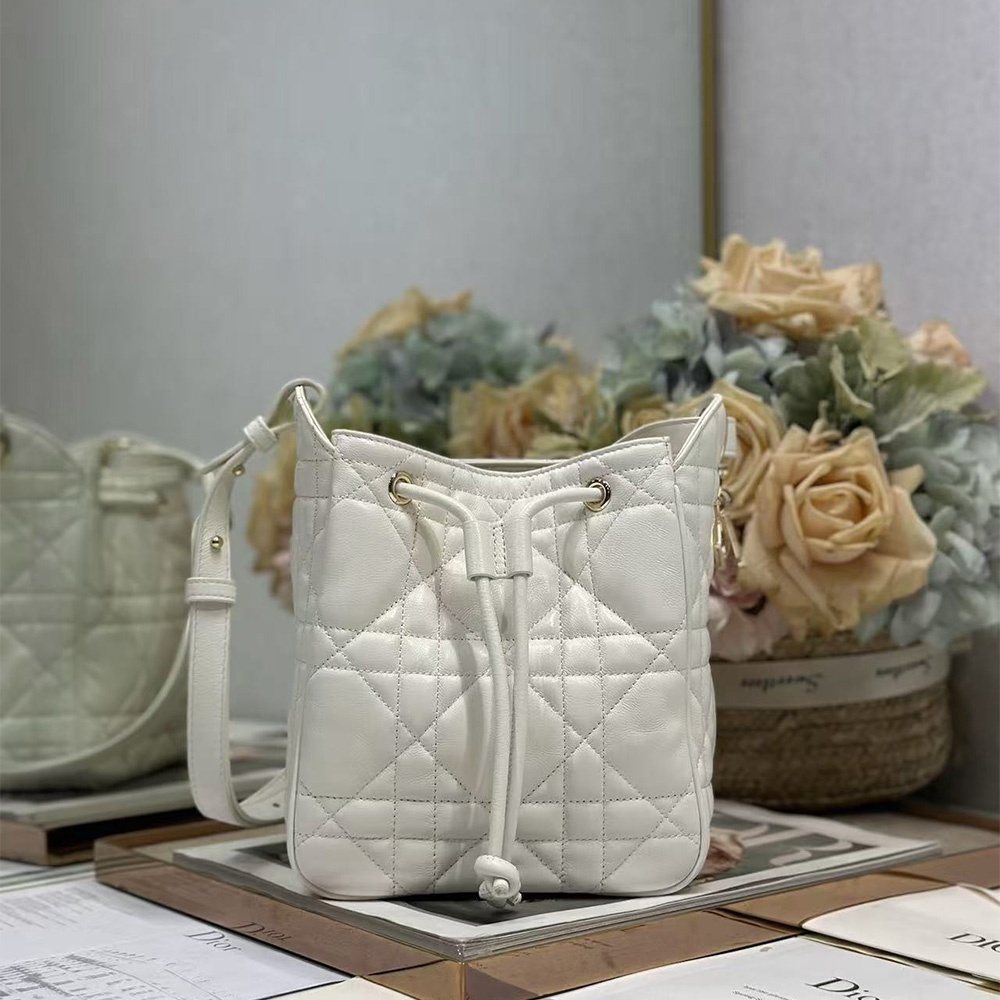 Dior Small D-Motion Bag in Lambskin Cannage