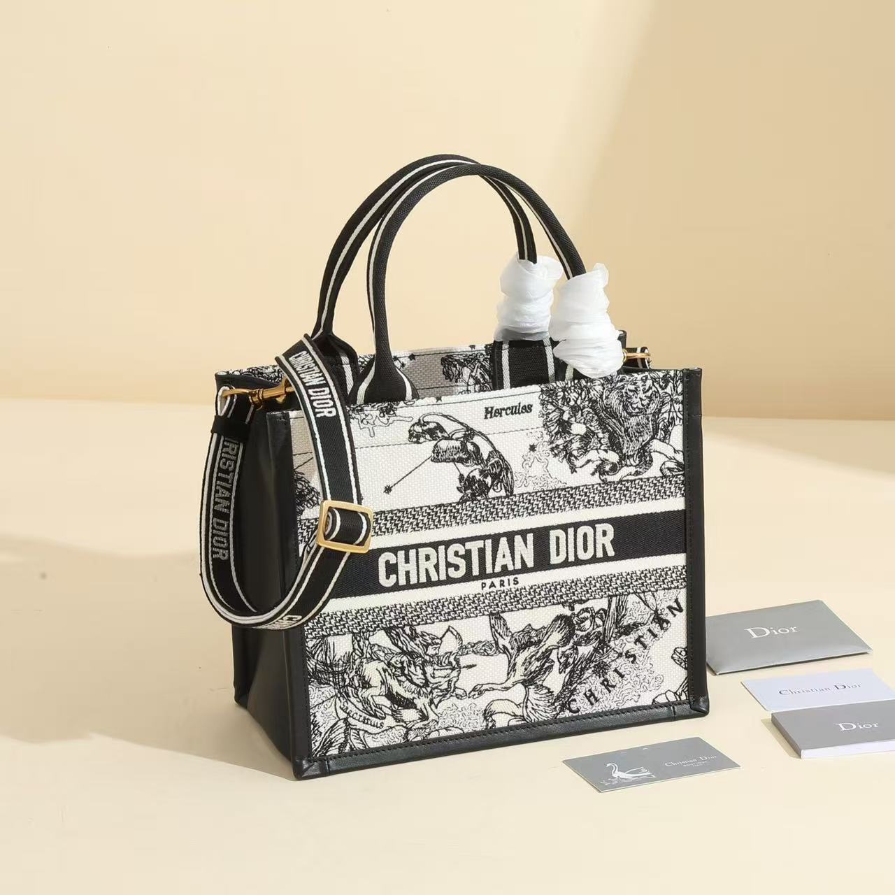 Dior Small Dior Book Tote