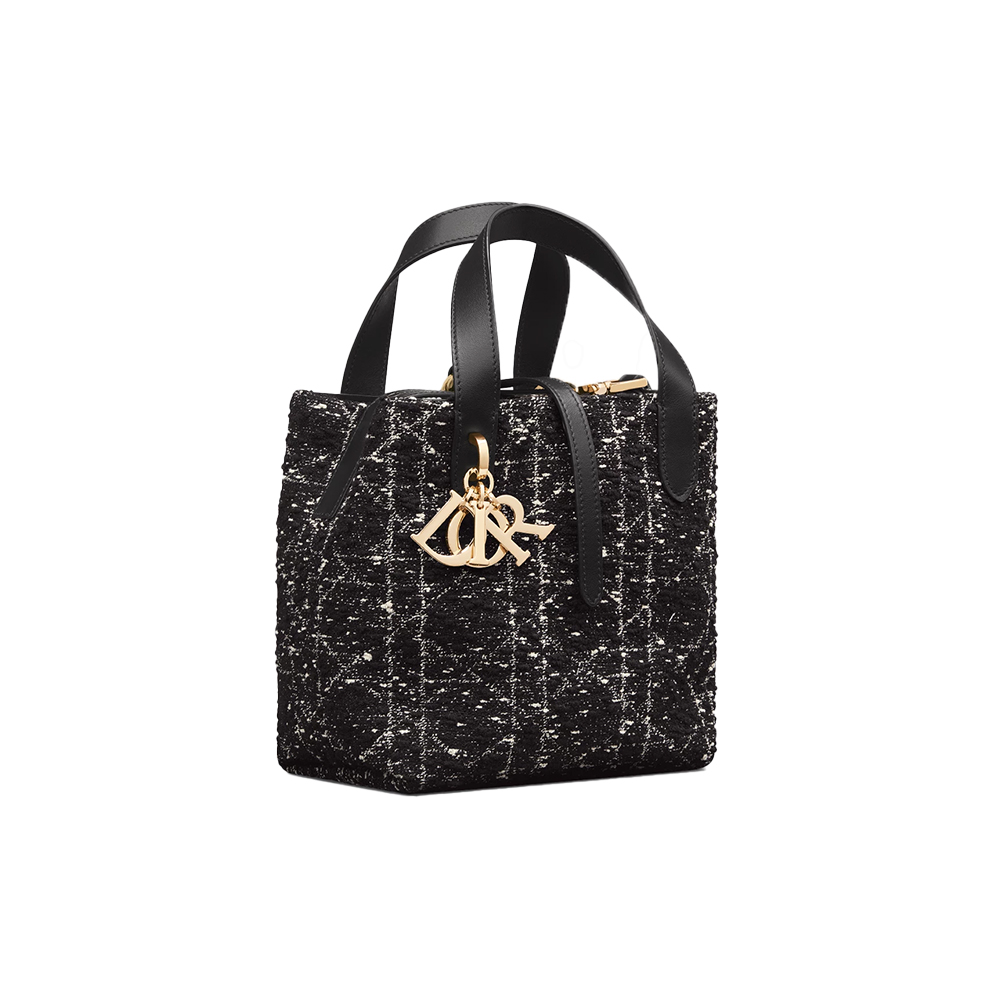 Dior Small Dior Toujours Vertical Tote Bag