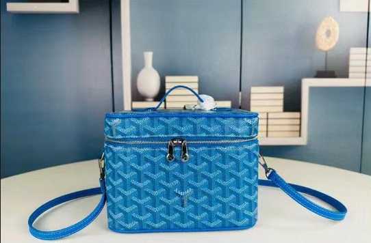 Goyard 2021 Vanity muse Bag