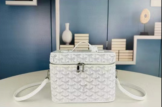 Goyard 2021 Vanity muse Bag