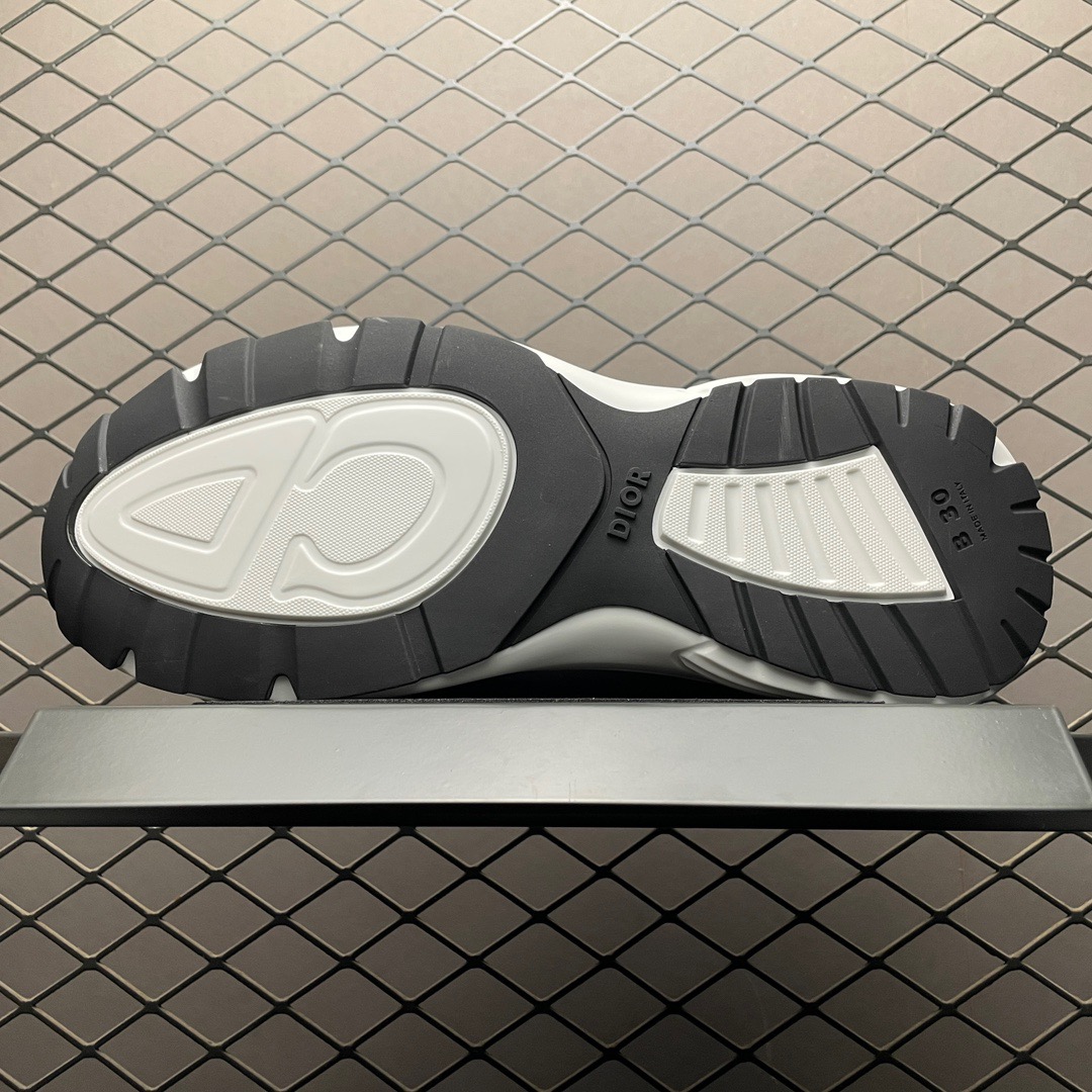 dior b30 white and silver logo shoes