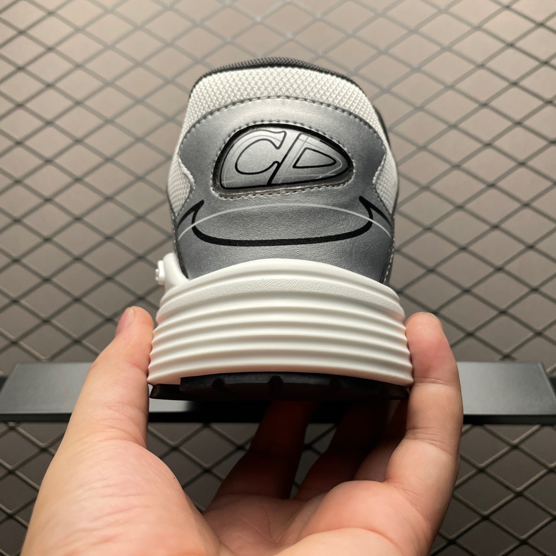 dior b30 white and silver logo shoes