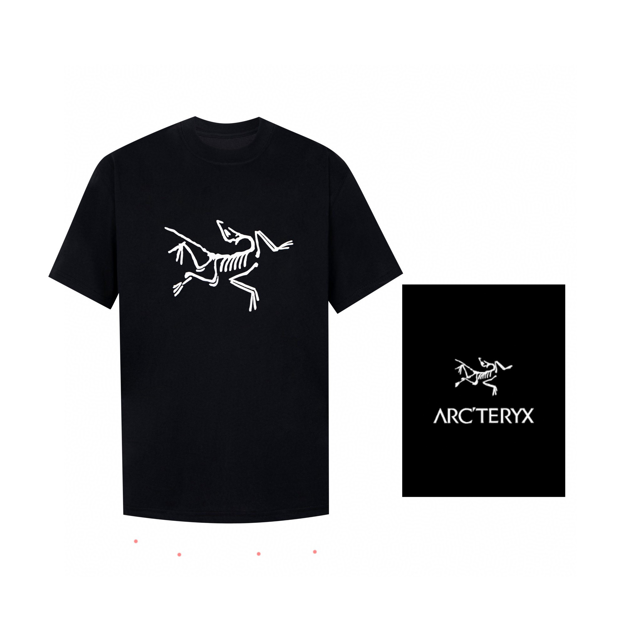 Arcteryx Classic Big Logo Tee Black