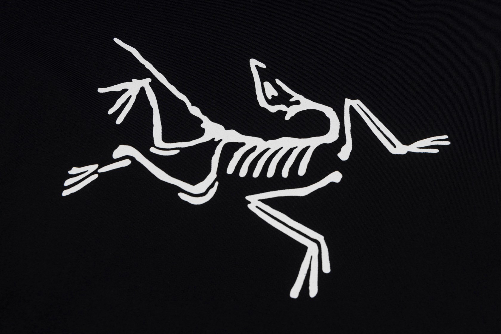 Arcteryx Classic Big Logo Tee Black