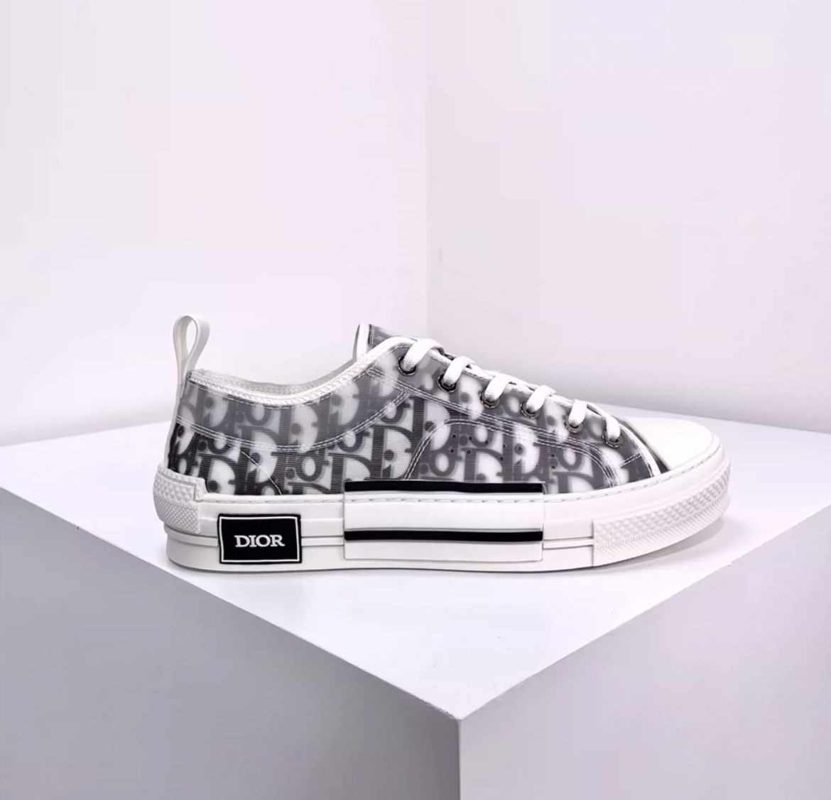 Dior Oblique B23 Low