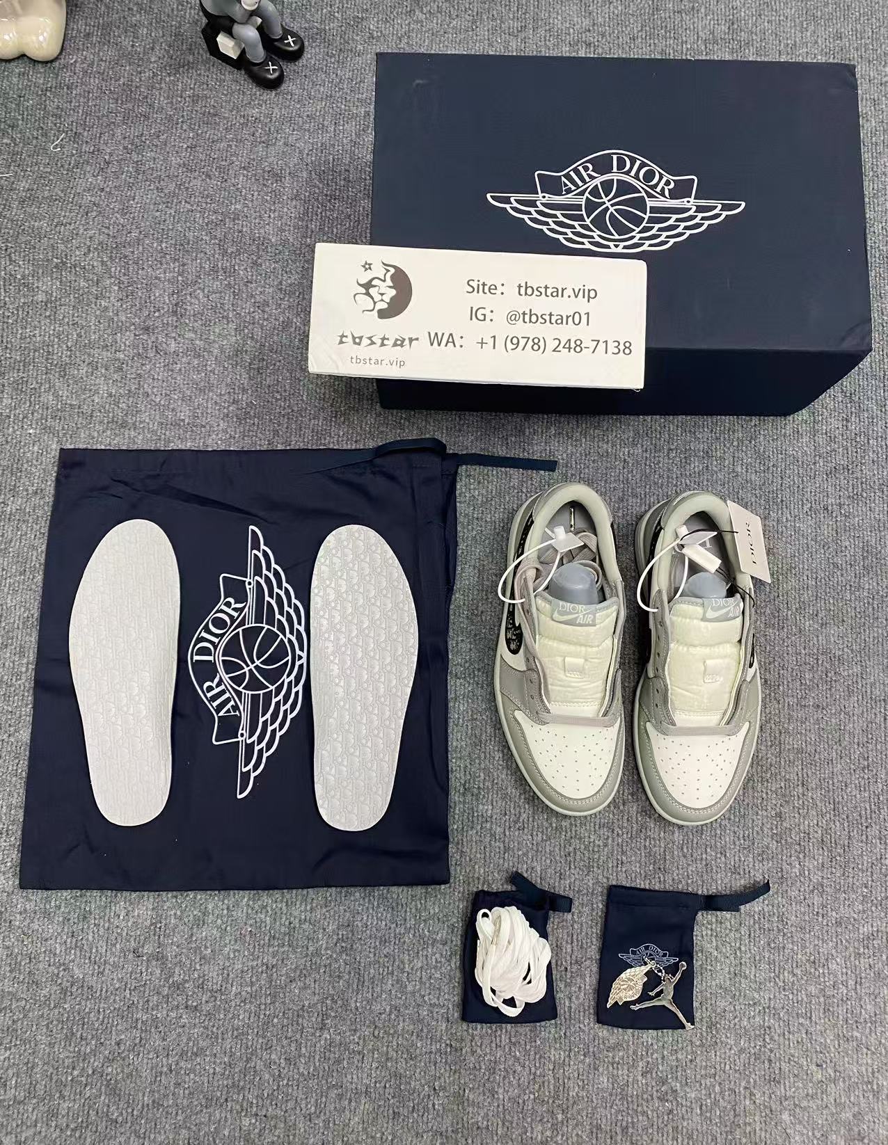 Dior & Air Jordan 1 Sneaker