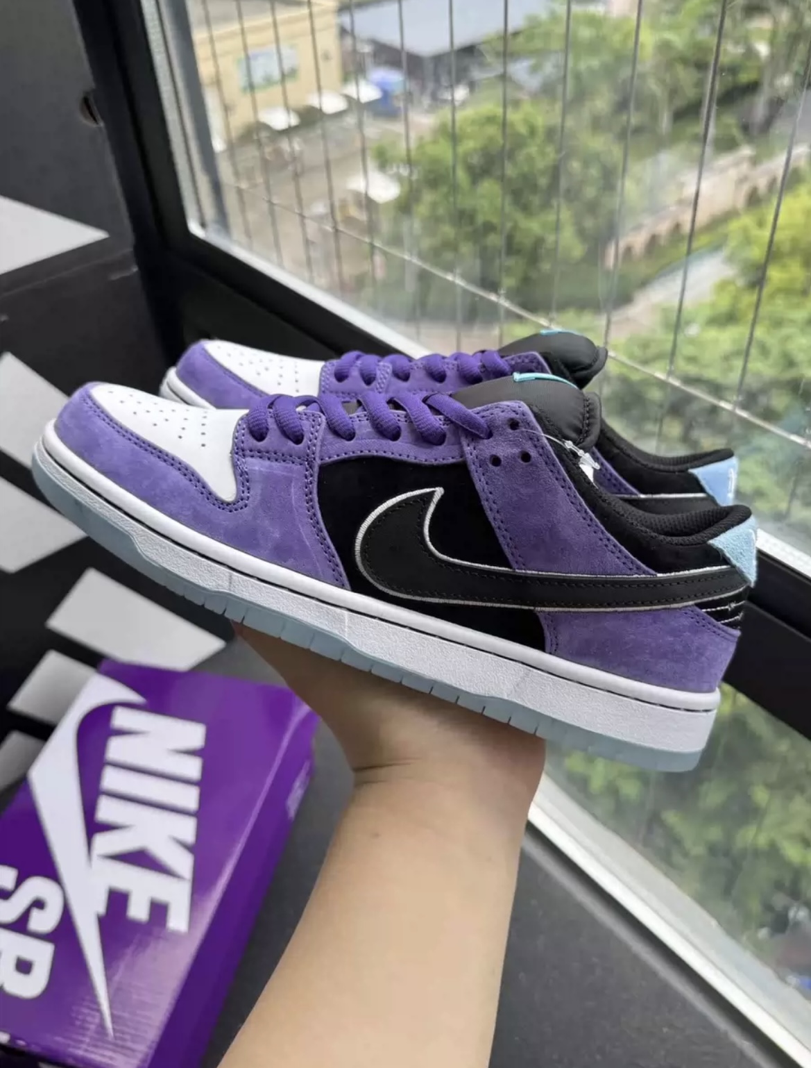 1:1 Hayley Wilson & Nike SB Dunk Low Court Purple