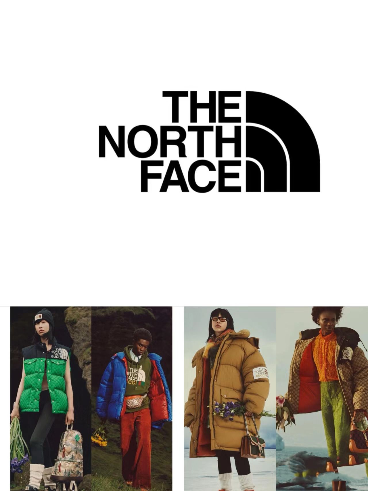 THE NORTH F@CE