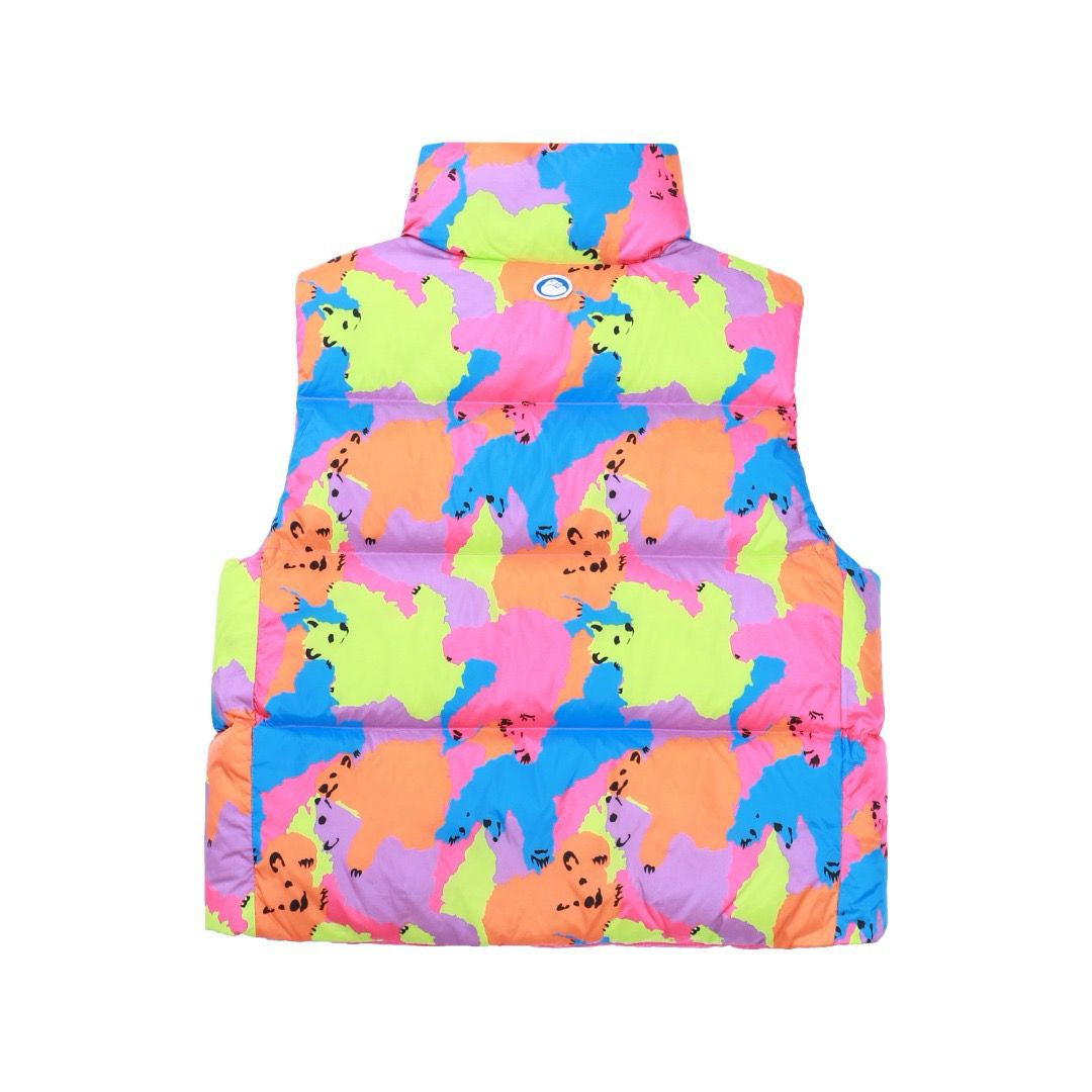 1:1 New colorful down vest