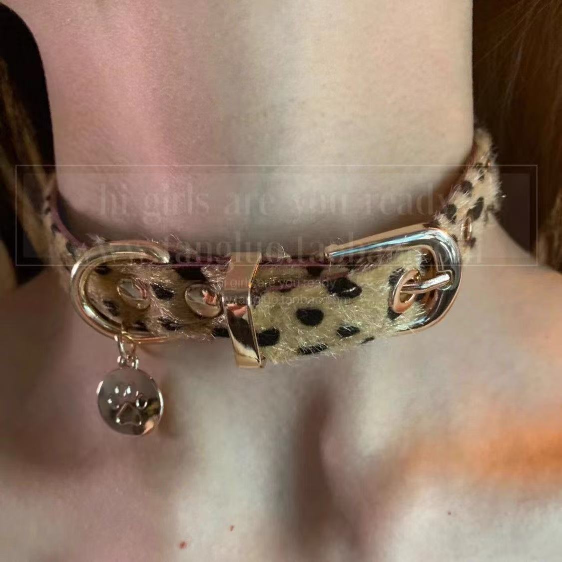 Leopard print choker collar