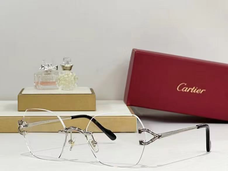classic glasses 2 colors