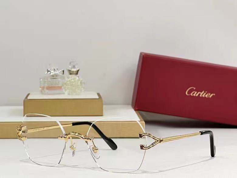 classic glasses 2 colors