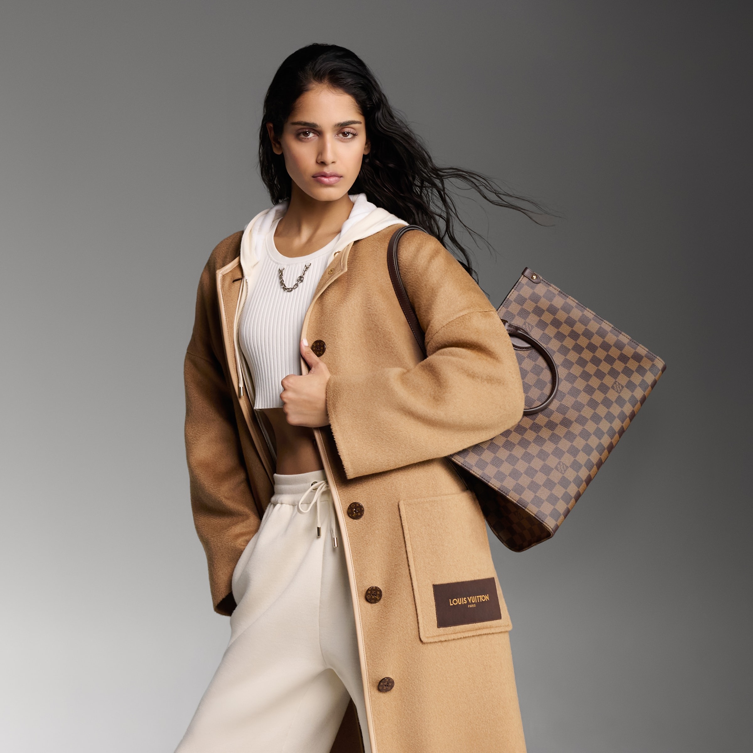 LOUIS VUITTON OnTheGo MM