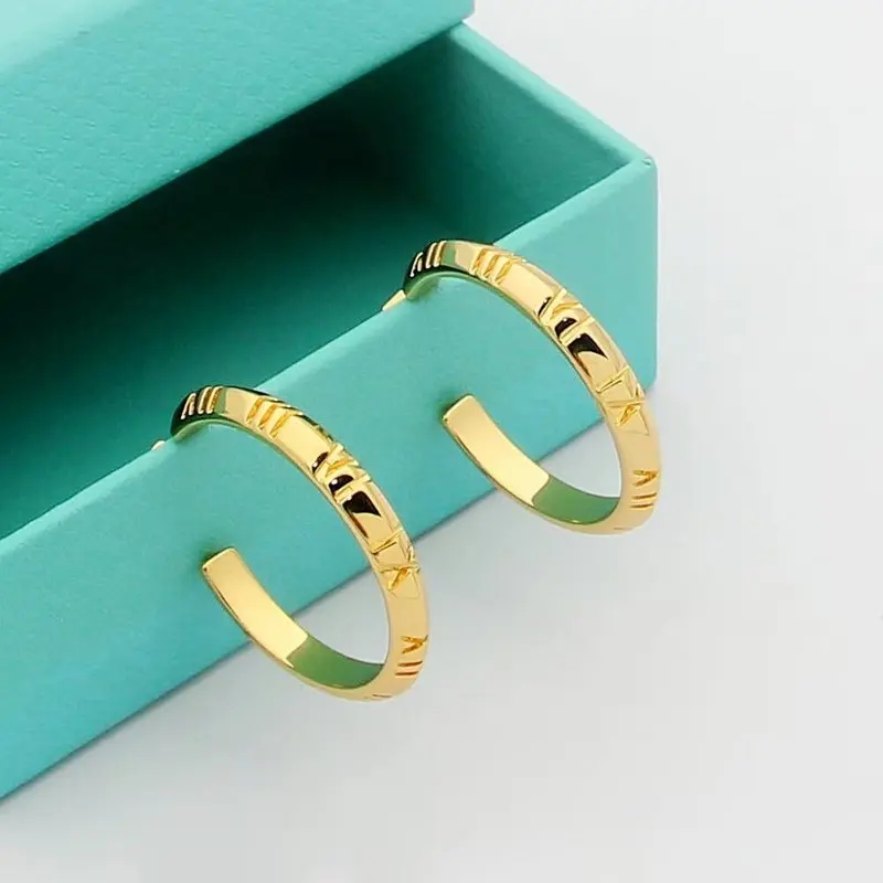 Tiffany Jewelry Earrings Accessories