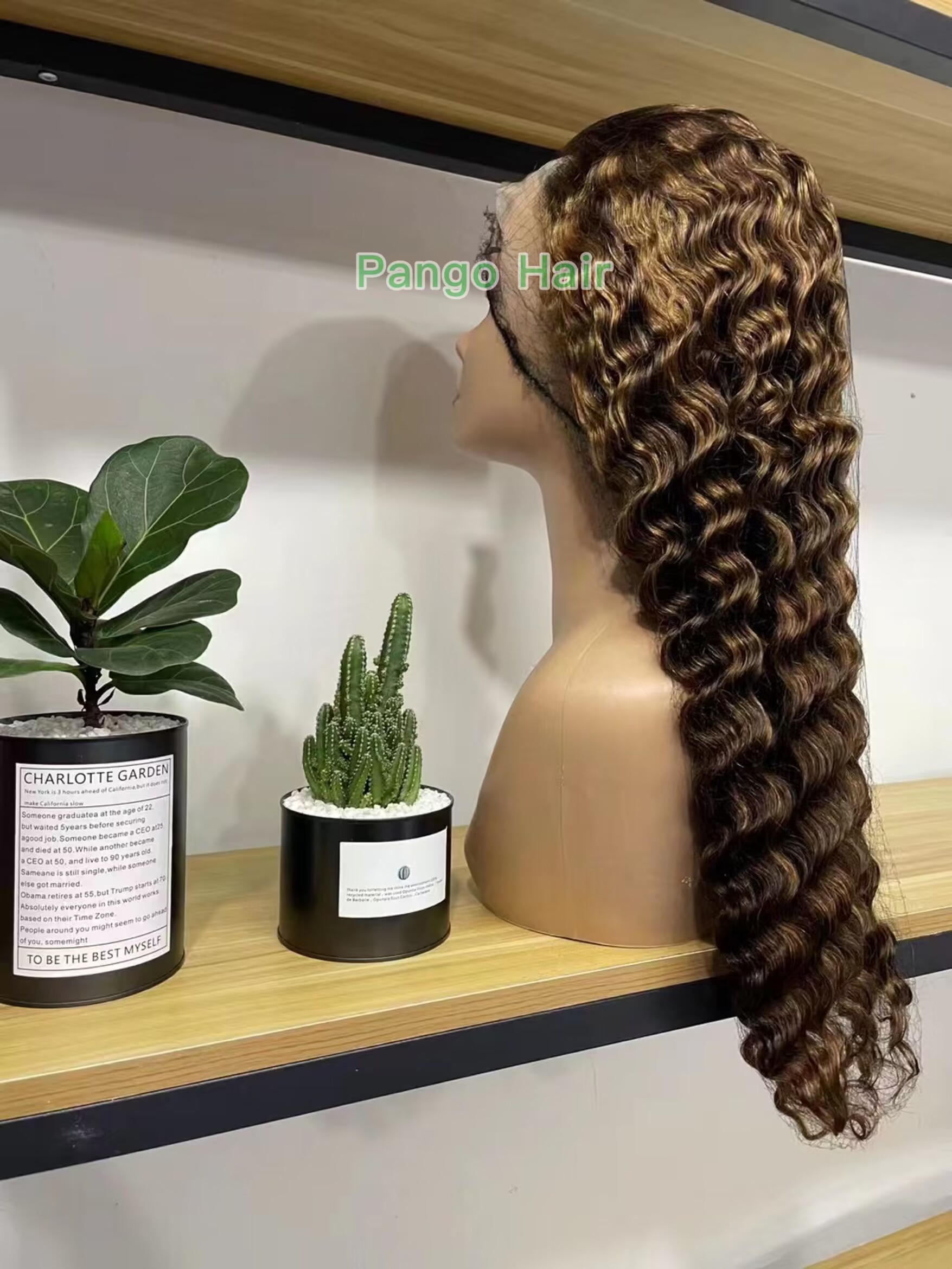 11A Virgin 13x4 frontal Wig 65 200% Density