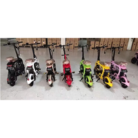 Double Electric Bike
