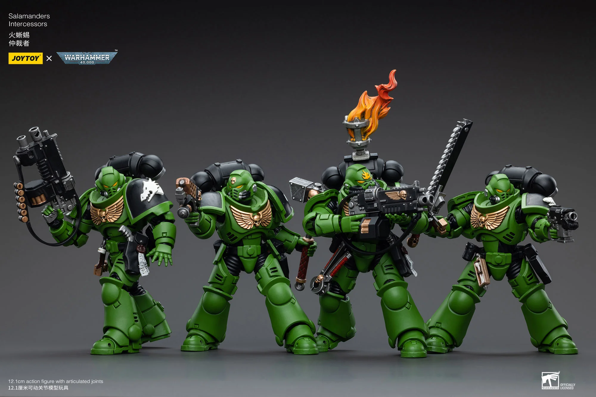 JOYTOY JT5215 5222 5239 5246 Warhammer 40k 1: 18 Salamanders Intercessors - JOYTOY WORLD