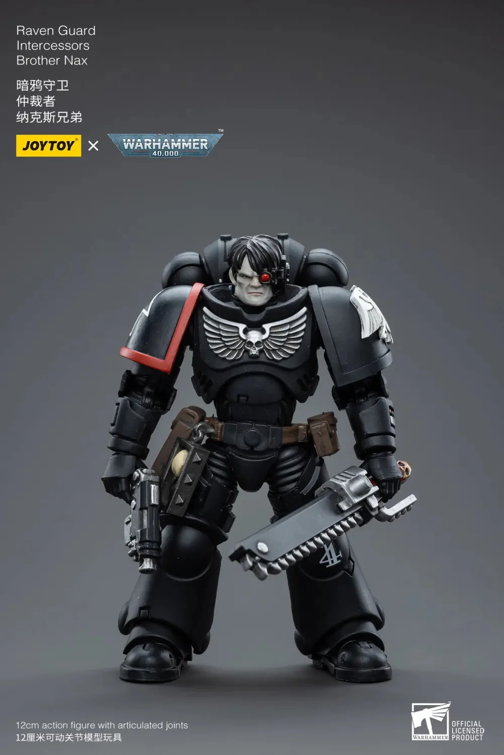 JOYTOY Warhammer 40k 1: 18 Raven Guard Intercessors - JOYTOY WORLD
