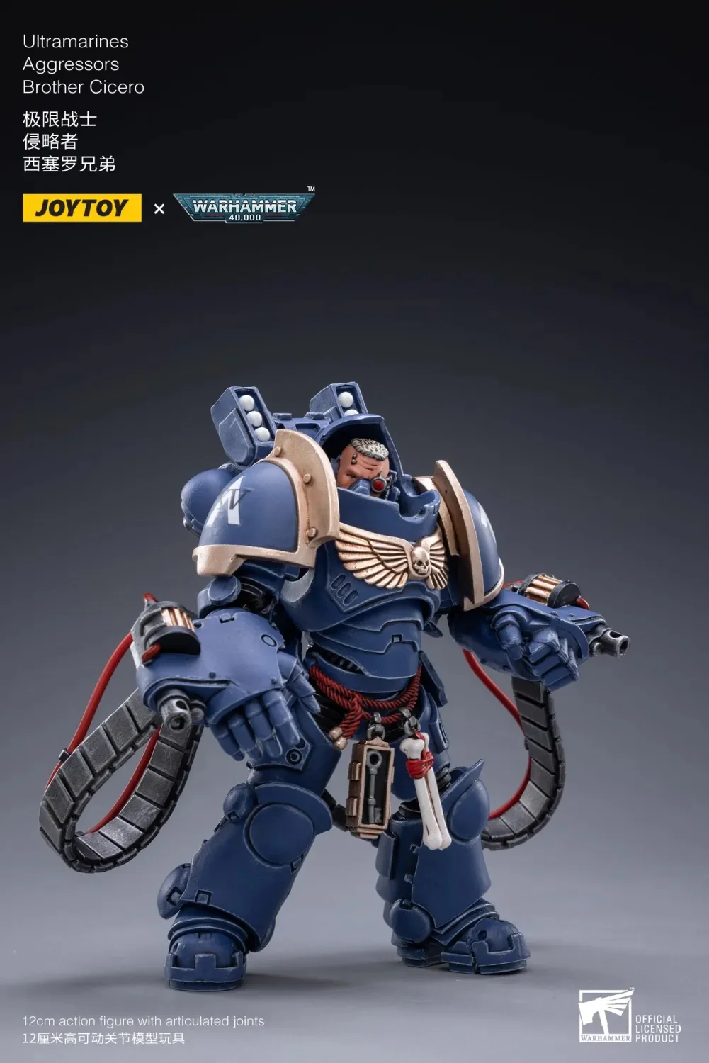 JOYTOY JT2184 Warhammer 40k 1: 18 Ultramarines Aggressors - JOYTOY WORLD