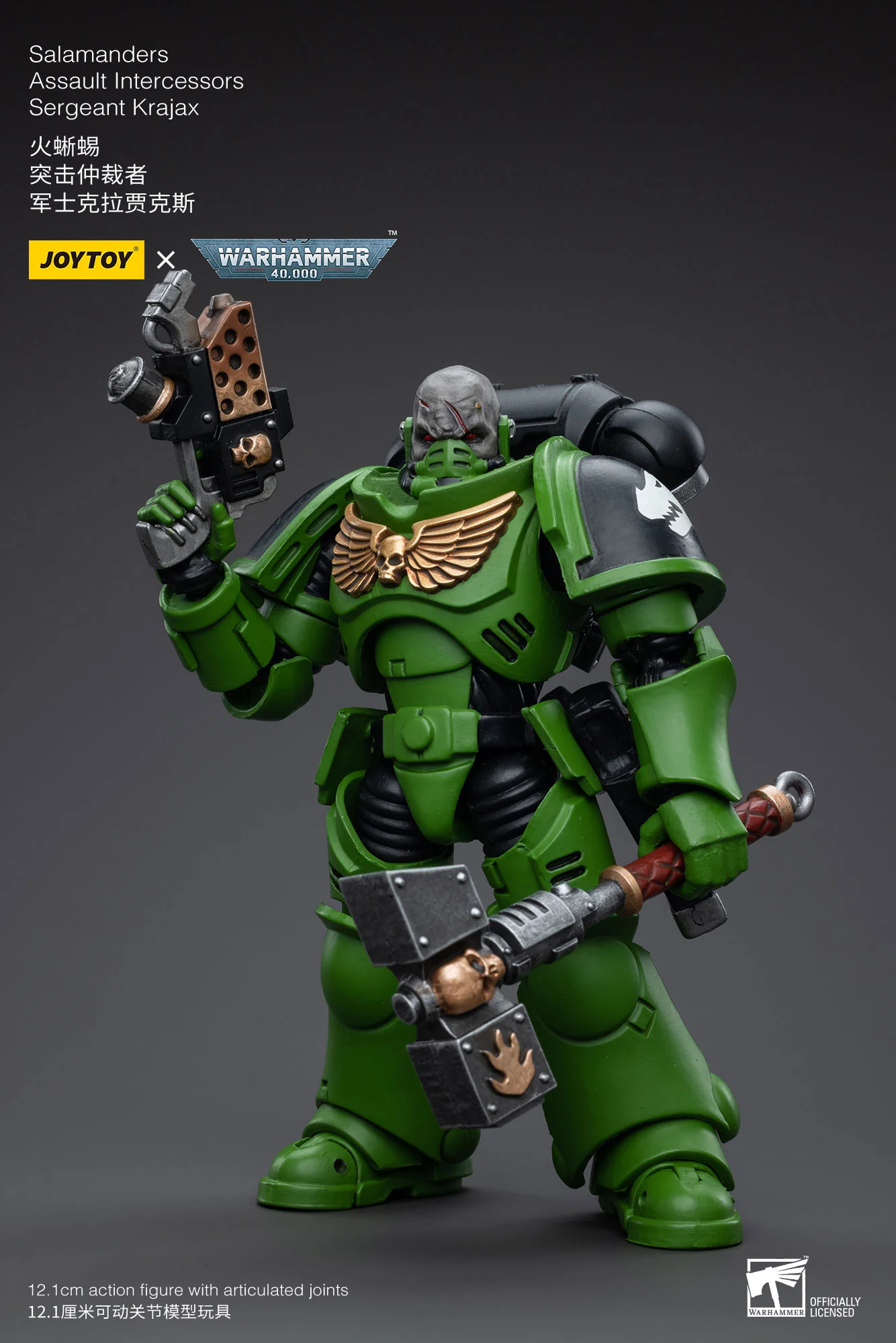 JOYTOY JT5215 5222 5239 5246 Warhammer 40k 1: 18 Salamanders Intercessors - JOYTOY WORLD