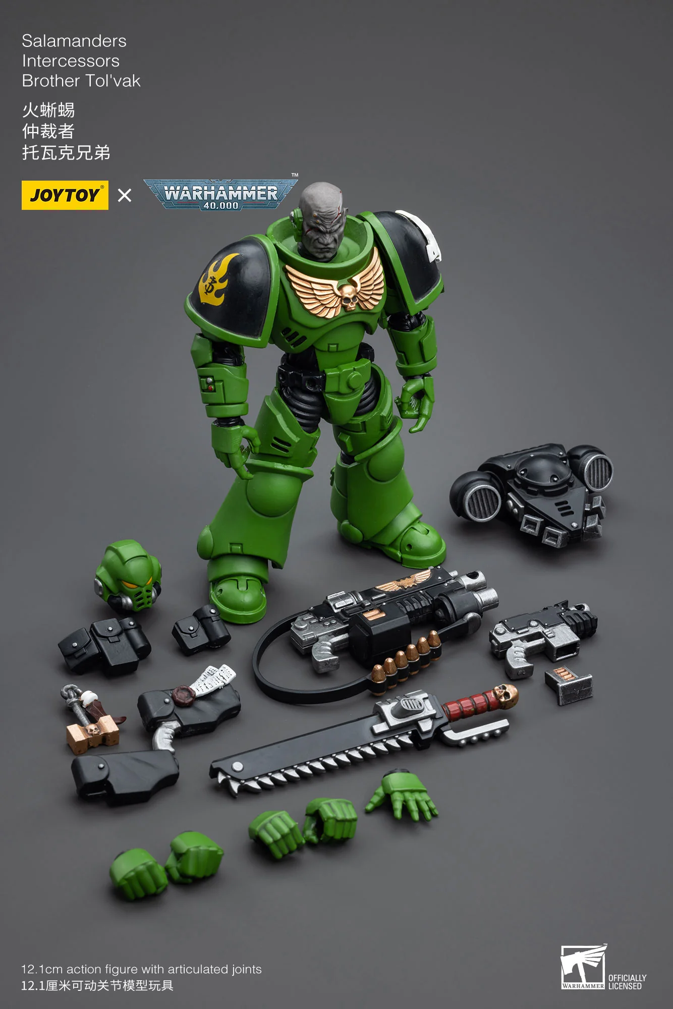 JOYTOY JT5215 5222 5239 5246 Warhammer 40k 1: 18 Salamanders Intercessors - JOYTOY WORLD
