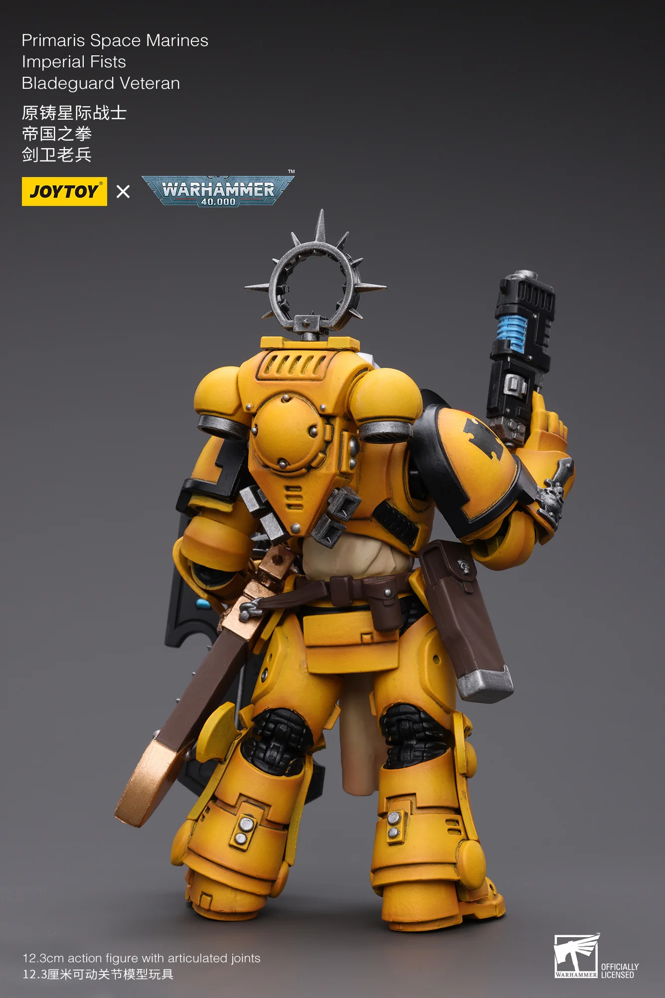 JOYTOY Warhammer 40k 1: 18 Pmaris Space Marines Bladeguard Veteran - JOYTOY WORLD