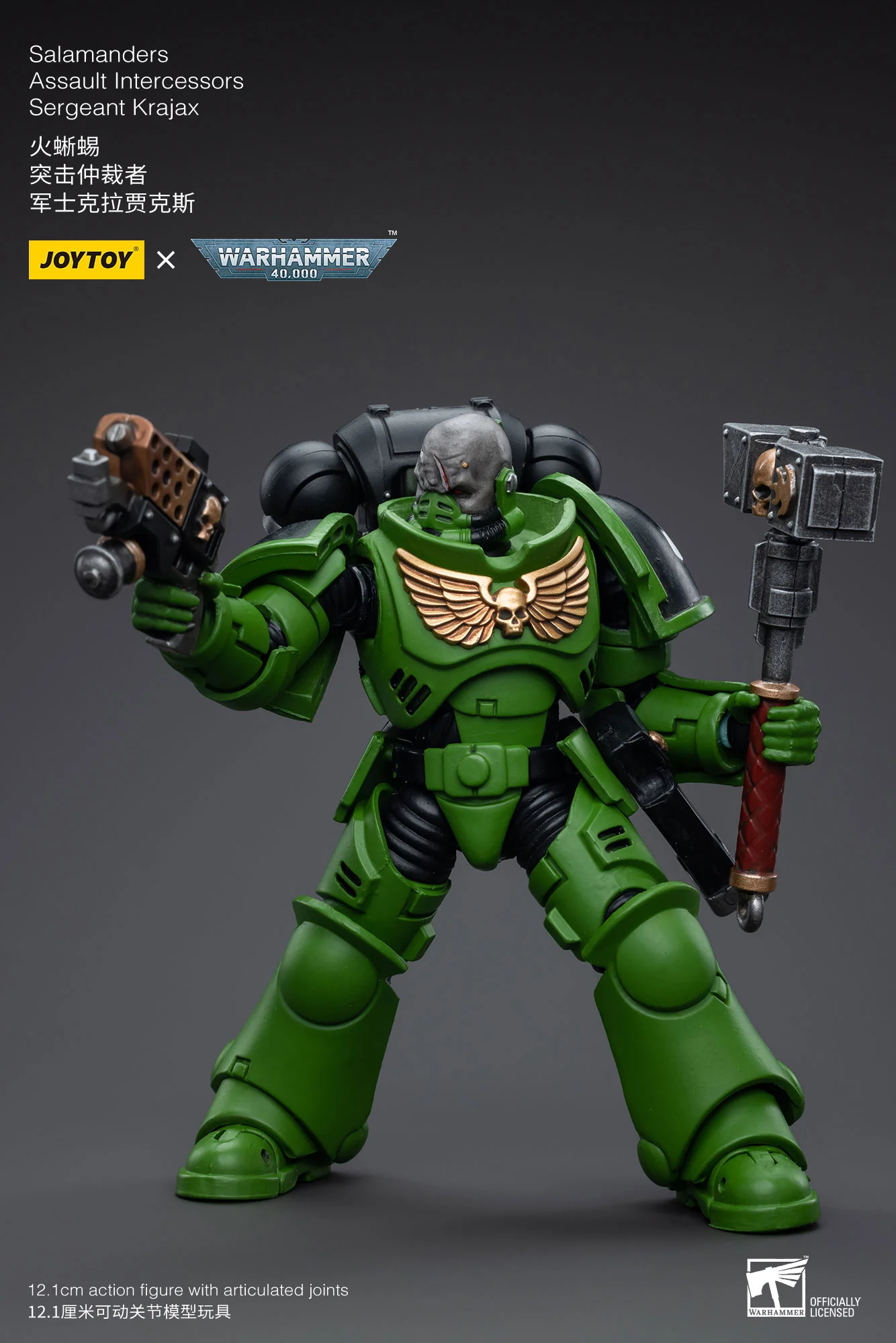 JOYTOY JT5215 5222 5239 5246 Warhammer 40k 1: 18 Salamanders Intercessors - JOYTOY WORLD