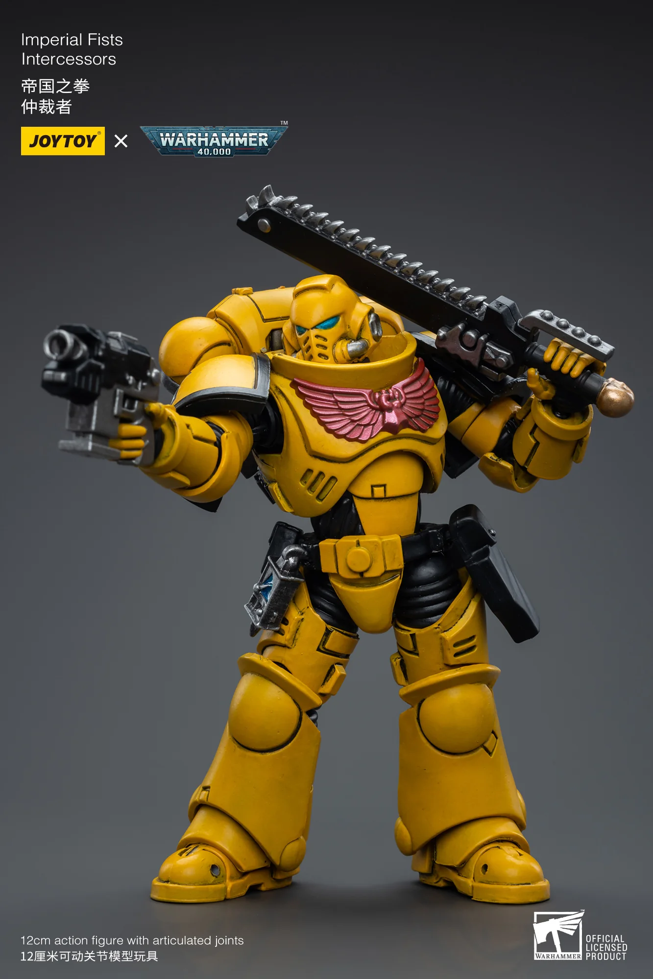 JOYTOY Warhammer 40k 1: 18 Intercessors - JOYTOY WORLD